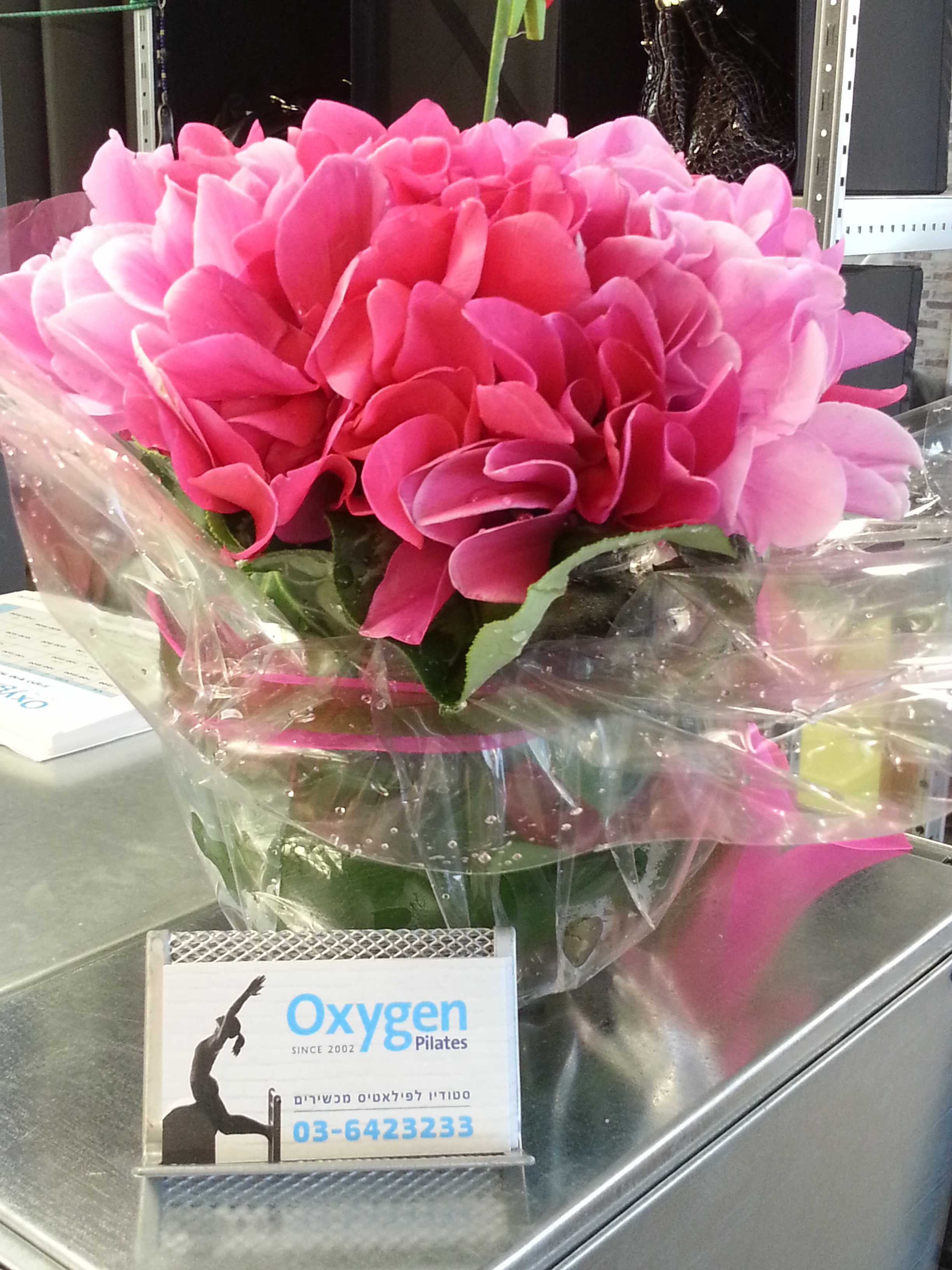 זר מהנהלת הקניון